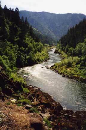 Rogue River View 1